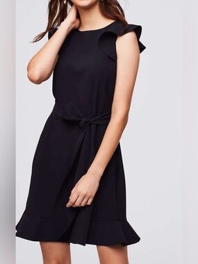 LOFT Ruffled Waist Tie Dress
